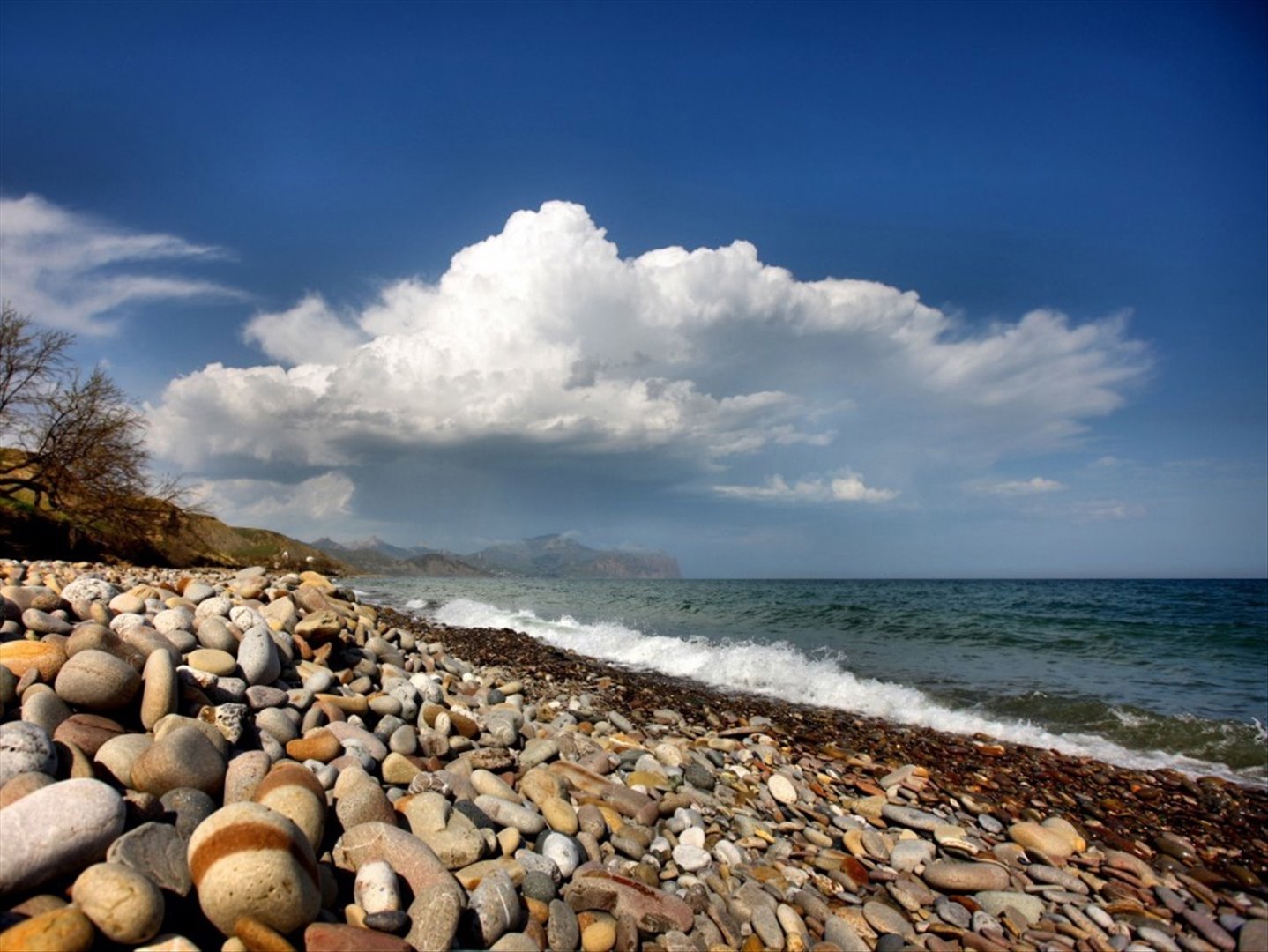 Черное море фото. Черное море. Море черники. Берег черного моря. Нори черные.